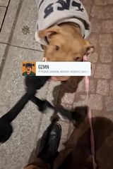 Фото користувача wariat420