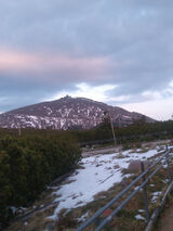 Фотография пользователя xdxdx