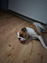 Фотография пользователя LeszekNakonieczn29