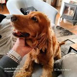 PiotrB70 Фотография пользователя PiotrB70