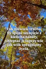 Obsydianowy Фотография пользователя Obsydianowy