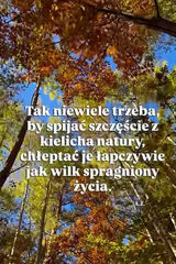 Photos Obsydianowy