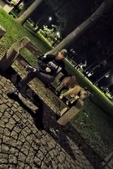 Фотография пользователя MarchlewiczM