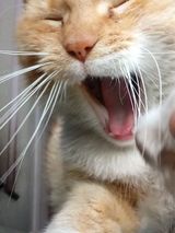 Фото користувача siarkowskigrzego36