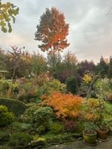 Фото користувача strzelec65