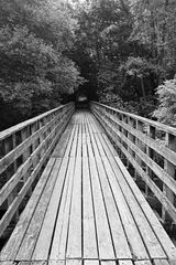 Фотография пользователя mlodylukasz62