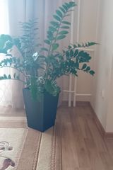 Фотография пользователя atka4