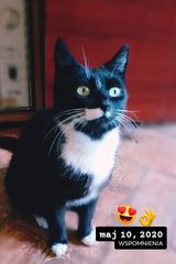Фотография пользователя matiukmwtw25