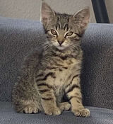 Zdjęcie użytkownika casqer