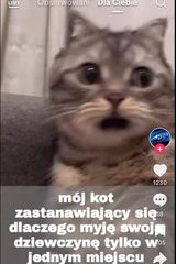 Фотография пользователя Seledynek