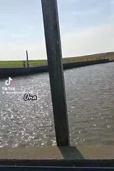 Фотография пользователя GreenGold