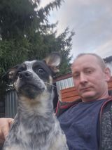 Cotamjaktammalenka Fotos Cotamjaktammalenka