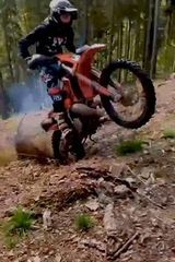 Zdjęcie użytkownika adixexc250