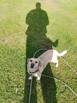 Benutzerfoto zdebelpawel51