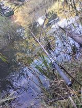 Benutzerfoto ryszlwieserce