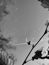 Фотография пользователя DluzszaChwila83