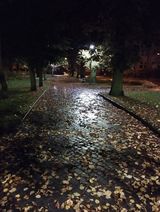 Фотография пользователя iduda1393