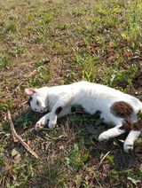 Benutzerfoto psadowski703