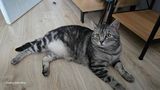 TomeJGG Фотография пользователя TomeJGG