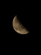 Tomek1386 Фотография пользователя Tomek1386