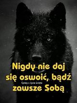 Foto pengguna tadzmistrz83