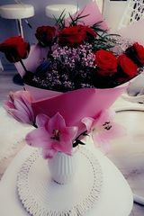 kwiatuszek1985 Фотография пользователя kwiatuszek1985