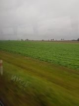 jangozdz25 Фотография пользователя jangozdz25