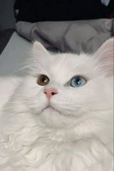 OudM Fotos OudM