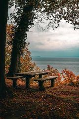 Benutzerfoto patrzielinski