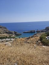 wolnyk1 Fotos wolnyk1