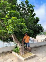 Zdjęcie użytkownika pepa40