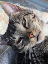 Foto pengguna barrtoro