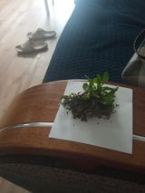 Benutzerfoto atyminska351985