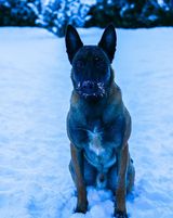 Foto pengguna CrystianCrystian