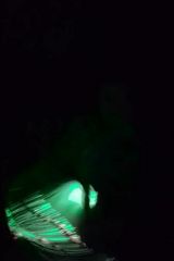 Foto pengguna znasztomozejuz