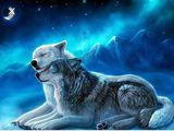 alexdavid7615lk Фотография пользователя alexdavid7615lk