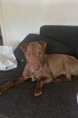 Ciemny1997 Fotos Ciemny1997