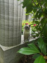 Foto pengguna Pablo190