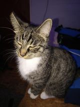 Benutzerfoto AresSantaCruz