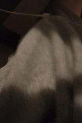 ja1312pan Fotos ja1312pan