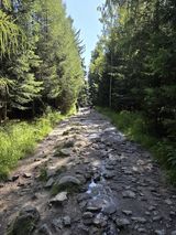 lukaszandr Fotos lukaszandr