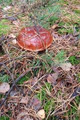 lukaszbukrym Fotos lukaszbukrym