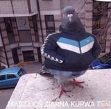 Kondri888 Fotos Kondri888