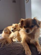 pawelkoscielniak1 Фотография пользователя pawelkoscielniak1