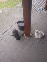 Foto pengguna MariuszAugustyniak