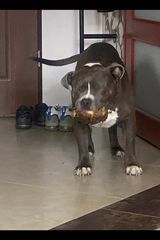 Foto pengguna Jacko44