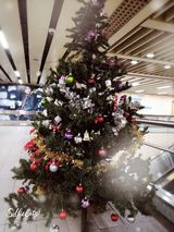 Wil47 Фотография пользователя Wil47