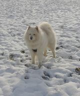 Filipianek Fotos Filipianek