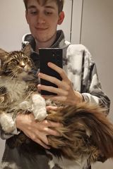 Fotos AFKUS