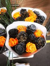 JohnnyBT Fotos JohnnyBT